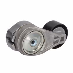 Galet tendeur, courroie d'accessoire SKF VKMCV 56009
