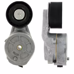 Galet tendeur, courroie d'accessoire SKF VKMCV 56009