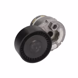 Galet tendeur, courroie d'accessoire SKF VKM 36055