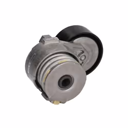 Galet tendeur, courroie d'accessoire SKF VKM 36055
