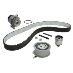 Kit distribution avec pompe à eau SKF VKMC 01250-1