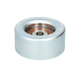 Galet enrouleur de courroie d'accessoire SKF VKM 61025