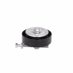 Galet enrouleur de courroie d'accessoire SKF VKM 64016
