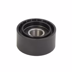 Galet enrouleur de courroie d'accessoire SKF VKM 38603