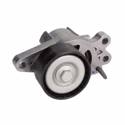 Galet tendeur, courroie d'accessoire SKF VKM 33300