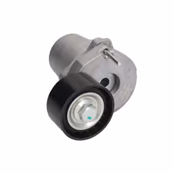 Galet tendeur, courroie d'accessoire SKF VKM 38339