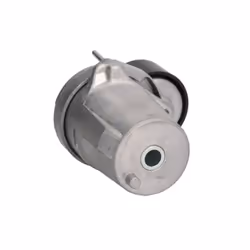 Galet tendeur, courroie d'accessoire SKF VKM 38339