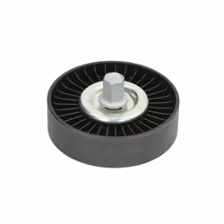 Galet enrouleur de courroie d'accessoire SKF VKM 64019