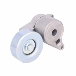 Galet tendeur, courroie d'accessoire SKF VKM 65048