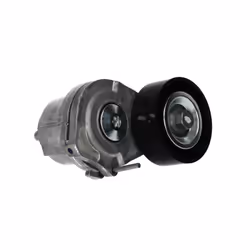 Galet tendeur, courroie d'accessoire SKF VKM 35024