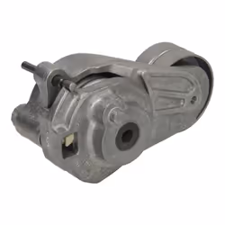 Galet tendeur, courroie d'accessoire SKF VKM 38075