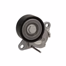 Galet tendeur, courroie d'accessoire SKF VKM 31160