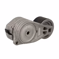 Galet tendeur, courroie d'accessoire SKF VKMCV 56011