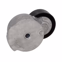 Galet tendeur, courroie d'accessoire SKF VKM 33205