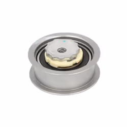 Galet tendeur, courroie de distribution SKF VKM 11338