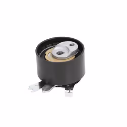 Galet tendeur, courroie de distribution SKF VKM 16136