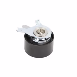 Galet tendeur, courroie de distribution SKF VKM 16136