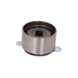 Galet tendeur, courroie de distribution SKF VKM 73201