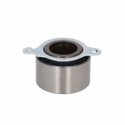 Galet tendeur, courroie de distribution SKF VKM 73201