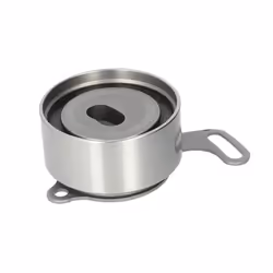 Galet tendeur, courroie de distribution SKF VKM 73600