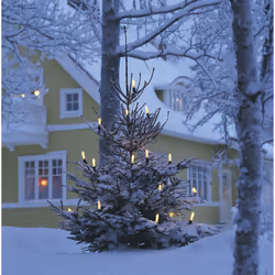 Konstsmide 1131-000 lumière décorative Guirlande lumineuse décorative 16 ampoule(s) 64 W