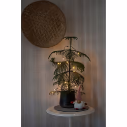 Konstsmide 1408-500 lumière décorative Guirlande lumineuse décorative 20 ampoule(s) LED 0,4 W - Vue supplémentaire 4