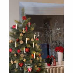 Konstsmide 1900-100 lumière décorative Figurine lumineuse décorative Blanc 10 lampe(s) LED 0,6 W