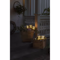Konstsmide 6232-103 lumière décorative Figurine lumineuse décorative Transparent 40 lampe(s) LED 0,8 W