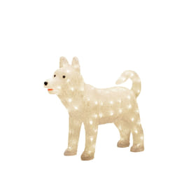Konstsmide Dog Husky Figurine lumineuse décorative Blanc 88 lampe(s) LED 3,6 W G