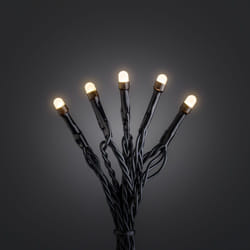 Konstsmide 3812-800CH lumière décorative Guirlande lumineuse décorative Noir 120 lampe(s) LED 3,6 W