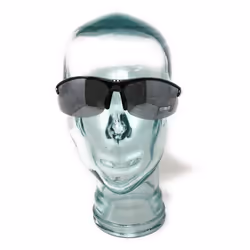 Lunettes de soleil Bliz Hybrid
