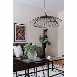 Globen Lighting 258011 éclairage de plafond Noir