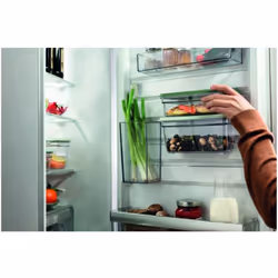 Electrolux EVFB1 Rectangulaire Régler Vert, Transparent 2 pièce(s)