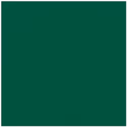 DUNI - 20 Serviettes ouate 33x33cm 3 plis Vert foncé