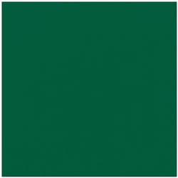 DUNI - 20 Serviettes ouate 33x33cm 3 plis Vert foncé