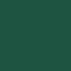 Lot de 12 serviettes - DUNI - Jetable - Dunisoft bio - 4 plis - 40x40cm - Vert foncé