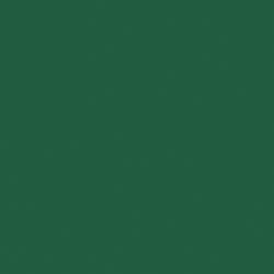Lot de 12 serviettes - DUNI - Jetable - Dunisoft bio - 4 plis - 40x40cm - Vert foncé