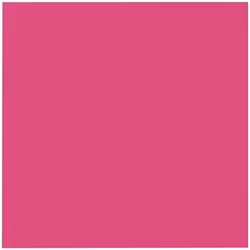 Lot de 12 serviettes - DUNI - Jetable - Dunisoft bio - 4 plis - 40x40cm - Fuchsia
