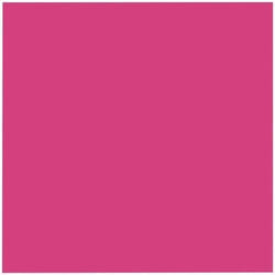 Lot de 12 serviettes - DUNI - Jetable - Dunisoft bio - 4 plis - 40x40cm - Fuchsia