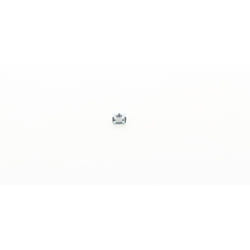Ecrou 5029099100/4 pour Hotte Electrolux faure