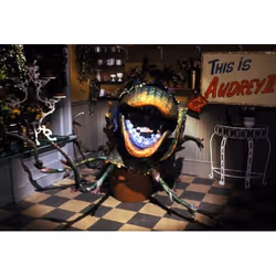 Warner Home Video Little Shop Of Horrors DVD Anglais