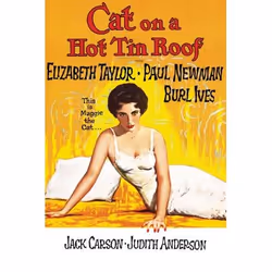 Warner Home Video Cat On A Hot Tin Roof, DVD, Anglais, Drame, 2D, 108 min, 20/09/1958