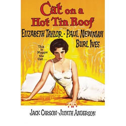 Warner Home Video Cat On A Hot Tin Roof DVD Anglais