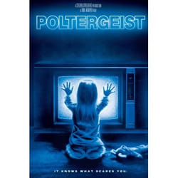 Warner Home Video Poltergeist DVD Anglais