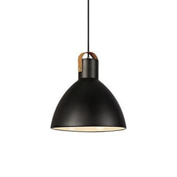 Markslöjd EAGLE éclairage de plafond Noir E27