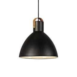 Markslöjd EAGLE éclairage de plafond Noir E27
