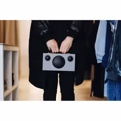 Audio Pro T3+ Enceinte portable stéréo Gris
