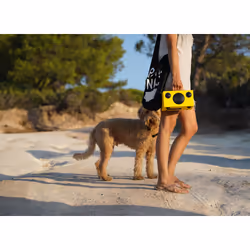 Audio Pro T3+ Enceinte portable stéréo Jaune