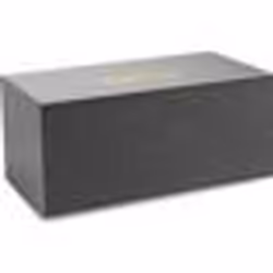 Enceinte Wi-Fi et Bluetooth - AUDIO PRO C20 - Gris - 190 Watts - Woofer 165 mm - Tweeters 25 mm