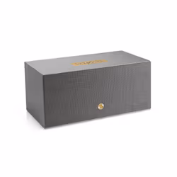 Audio Pro C20 W Gris Sans fil - Vue supplémentaire 3